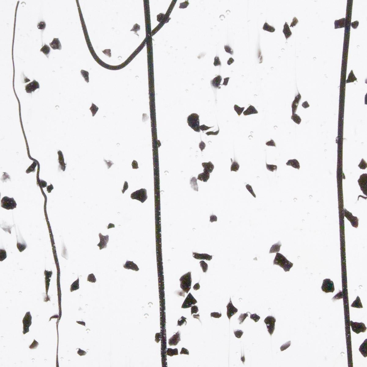Close up of 90 COE Bullseye Black Confetti Glass Hand Made Single Rolled (90-COE-Confetti-Black)