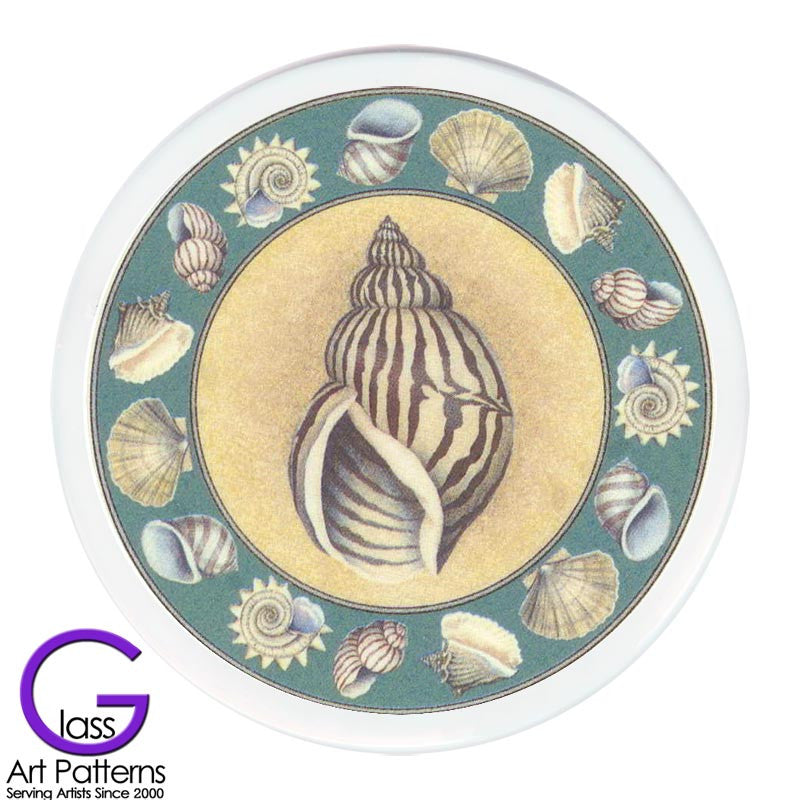 Project 020: Fused Glass Sea Shell Coaster on white glass
