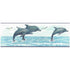 Dolphin Pod Decal Fused Glass Ceramic Waterslide Decal