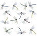 Dragonfly Set Fused Glass Decal