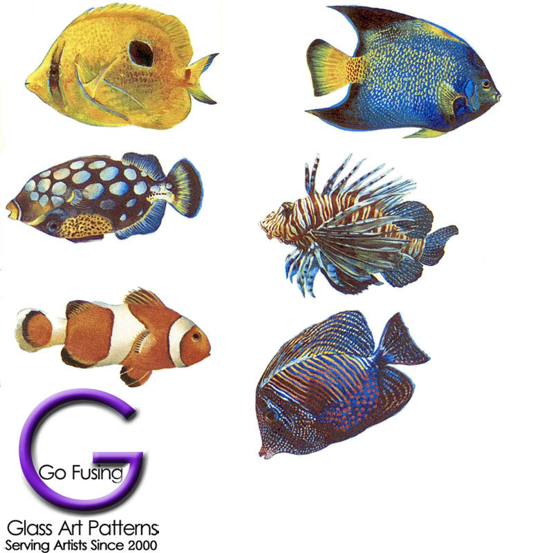 Coaster Size Fish Tropical IV Decal Set of 6