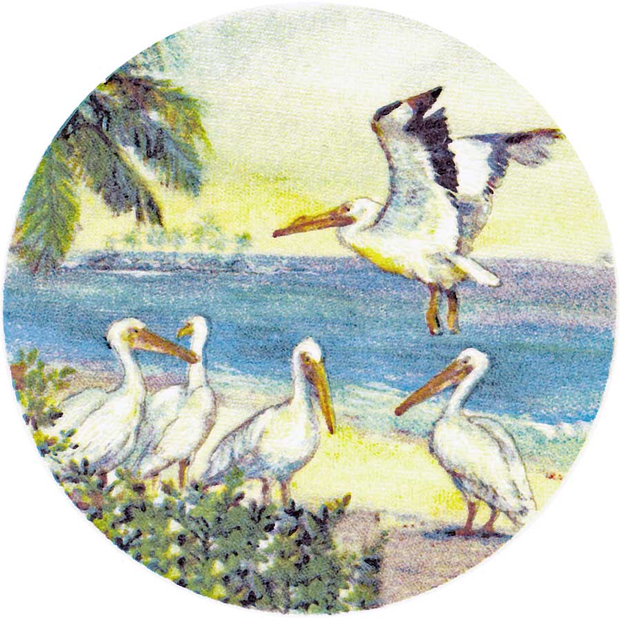 Pelican Vintage Florida Waterslide Glass Ceramics Decal