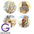 Fusible Decal Owl Families: Horned Owl, Barn Owl, Masked Owl, Red Owl or Sops Owls.